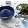 Shampooing couleur pour cheveux bouclés et texturés : préserver l’éclat sans sacrifier la boucle