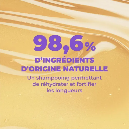 81ysX2WNraL._AC_SL1500_